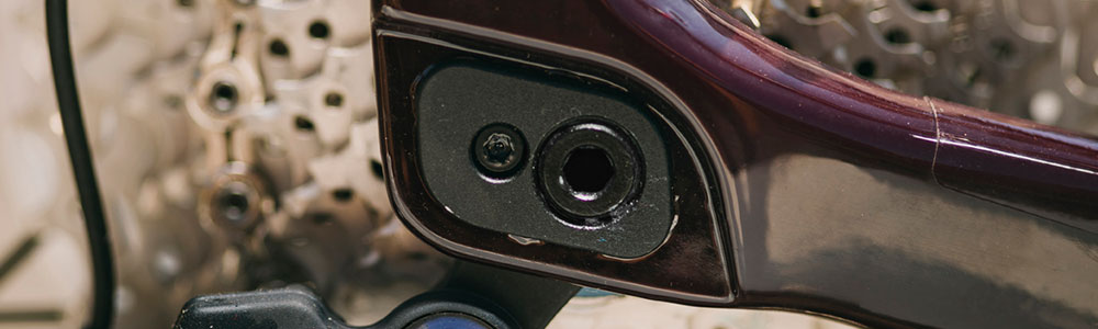 Giant Flip Chip Dropout