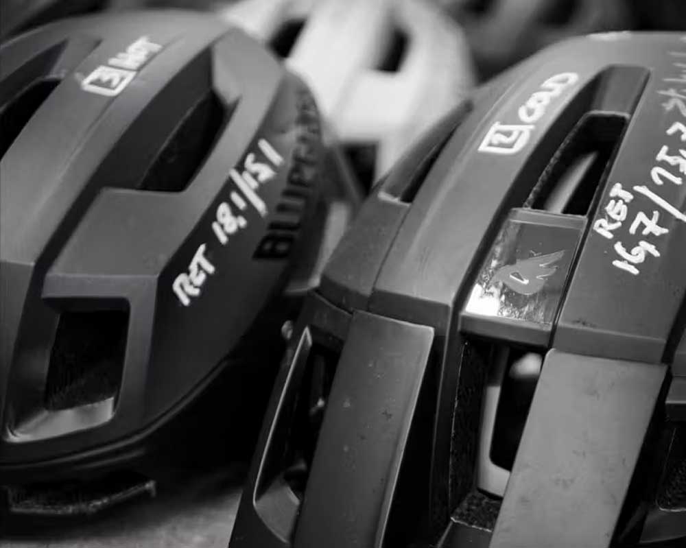 BLUEGRASS ROGUE CE безпека