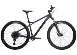 Велосипед 29 GT Avalanche Elite рама - L BBQ