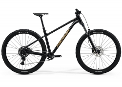 Велосипед 29 Merida Big.Trail 300 (2026) рама - S Black(Brown)