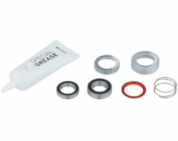 Сервисный набор DT Swiss Ratchet 54T для втулок 180 EXP с подшипниками