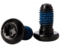 Болты ротора T25 стальные (24 шт.) Rotor Bolts T25 Steel Sram