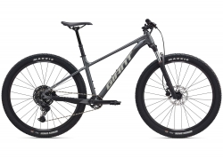 Велосипед 29 GIANT Talon 29 1 (2026) рама - M Charcoal