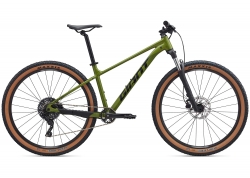 Велосипед 29 GIANT Talon 29 2 (2026) рама - XL Dried Matcha