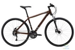 Apollo TRANSFER 30 - XL 2017 Gloss Bronze/Gloss Charcoal