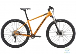  29 Cannondale Trail 3  - M 2019 TNG