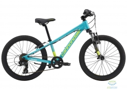 Велосипед 20 Cannondale Kids Trail TRQ OS 2019