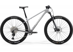  29 Merida BIG.NINE TR 5000 (2025)  - S Cool Grey (Silver/Black)