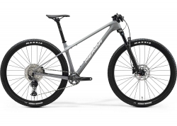  29 Merida BIG.NINE 3000 (2025)  - S Cool Grey (Silver/Black)