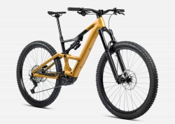 Велосипед 29 Orbea RISE LT H10 (2025) bumblebee yellow/black matt