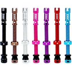 Ніпелі безкамерні Juice Lubes Teal 48mm