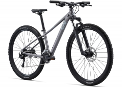 Велосипед 29 Liv Tempt 2 (2023) liquid metal M