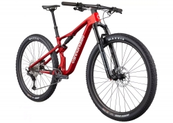 Велосипед 29 Cannondale SCALPEL Carbon 4 рама - XL 2025 RRD