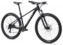 Велосипед 29 GIANT Talon 29 3 (2026) рама - XL Panther