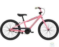 Велосипед 20 Cannondale Kids Trail SS TRQ 2020