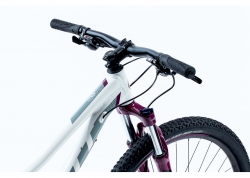 Велосипед SCOTT Contessa 720 (CN) 19 - рама L 2019