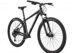  29 Cannondale TRAIL 5  - L 2024 GRA