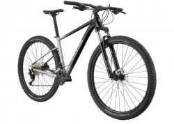 Велосипед 29 Cannondale TRAIL SL 4 рама - L 2024 GRY