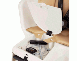 Дитяче велокрісло Bobike Exclusive maxi Plus Frame / Cinnamon brown