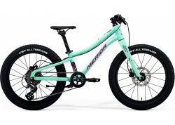 Велосипед 20 Merida MATTS J. 20 Plus (2024) Dark strawberry