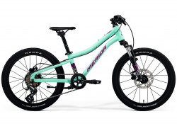 Велосипед 20 Merida MATTS J. 20 (2024) Fall green