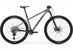 Велосипед 29 Merida BIG.NINE TR LIMITED (2025) рама - S Silk Sparkling Gold (Grn/Blk)