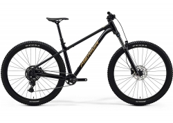 Велосипед 29 Merida BIG.TRAIL 300 (2025) рама - XL Gunmetal Grey (Black)