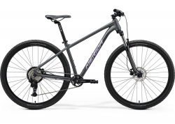 Велосипед 29 Merida BIG.NINE 20 (2025) рама - XXL Black (Grey)