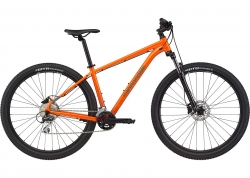  29 Cannondale TRAIL 6  - XL 2024 SLT