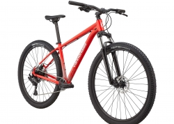  29 Cannondale TRAIL 5  - L 2024 GRA