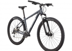  29 Cannondale TRAIL 6  - XL 2023 IOR