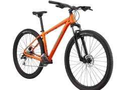  29 Cannondale TRAIL 6  - XL 2024 SLT