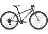 Велосипед 26" Giant ARX (2025) phoenix fire — Gray