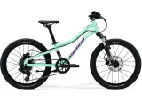 Велосипед 20" Merida Matts J.20 (2026)  Fall Green(Red/Black) — Mint Purple