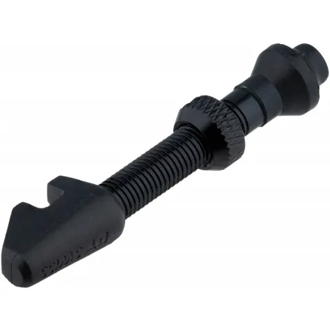 TUBELESS VALVE DT SWISS ALU BLACK CYL NUT 18-25MM