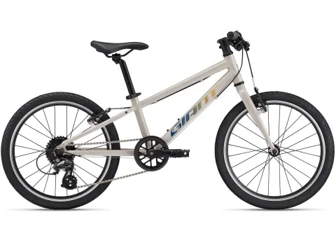 Велосипед 20" Giant ARX (2025) mushroom