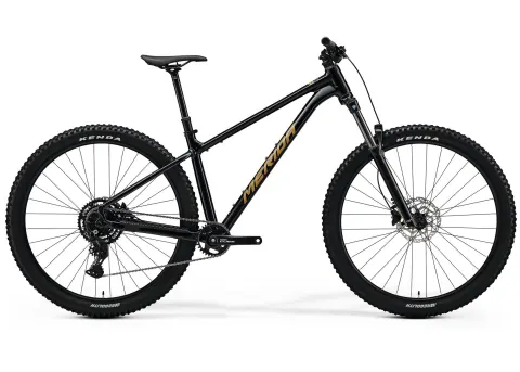 Велосипед 29" Merida Big.Trail 300 (2026) рама - XS Black(Brown)