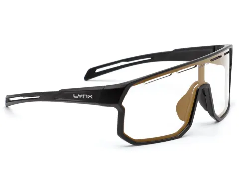 Окуляри LYNX Bismarck PH B, matt black-#1 smoke photochromic with gold revo