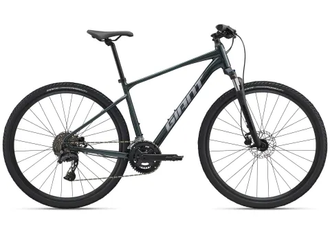 Велосипед 28" GIANT Roam 2 (2026) рама - L Asphalt Green