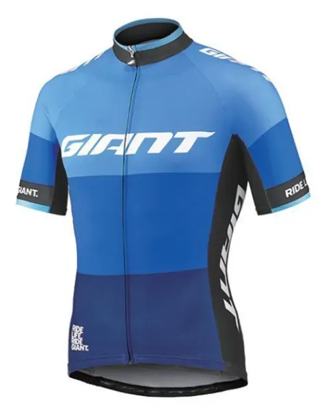 Веломайка Giant Elevate синій M