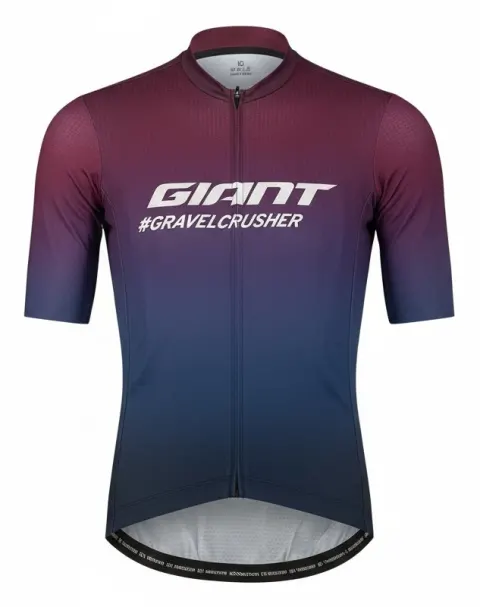 Веломайка Giant Gravelcrusher із заст фіолетовий/синій L