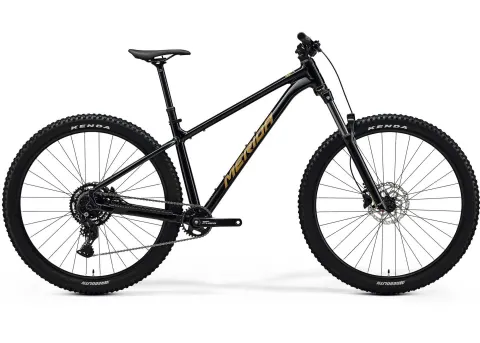 Велосипед 29" Merida BIG.TRAIL 300 (2025) рама - XL Black (Brown)