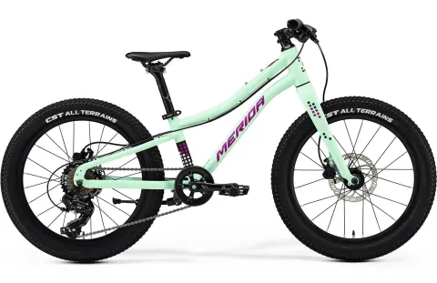 Велосипед 20" Merida MATTS J. 20+ (2025) рама - Matt Mint (Purple/Wht/Blk)
