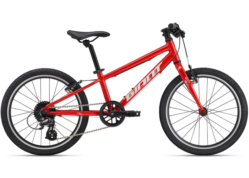 Велосипед 20" Giant ARX (2025) phoenix fire