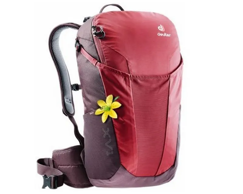 Рюкзак DEUTER XV 1 SL цвет 5005 cranberry-aubergine Городской