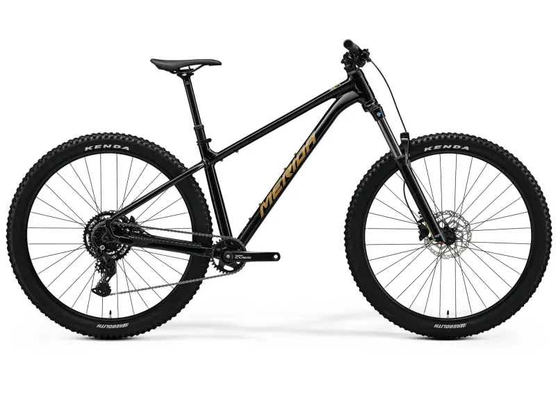 Велосипед 29" Merida Big.Trail 300 (2026) рама - XL Black(Brown)