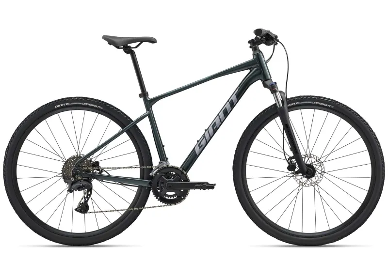 Велосипед 28" GIANT Roam 2 (2026) рама - L Asphalt Green