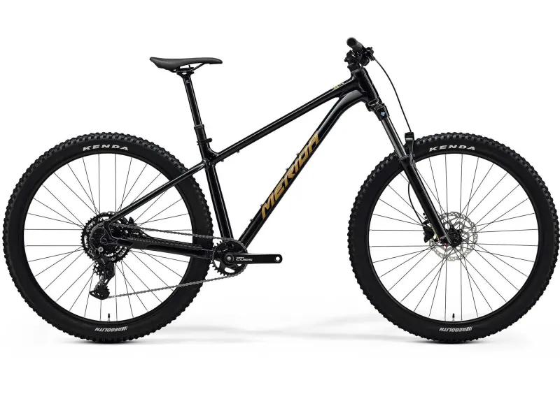 Велосипед 29" Merida BIG.TRAIL 300 (2025) рама - L Black (Brown)