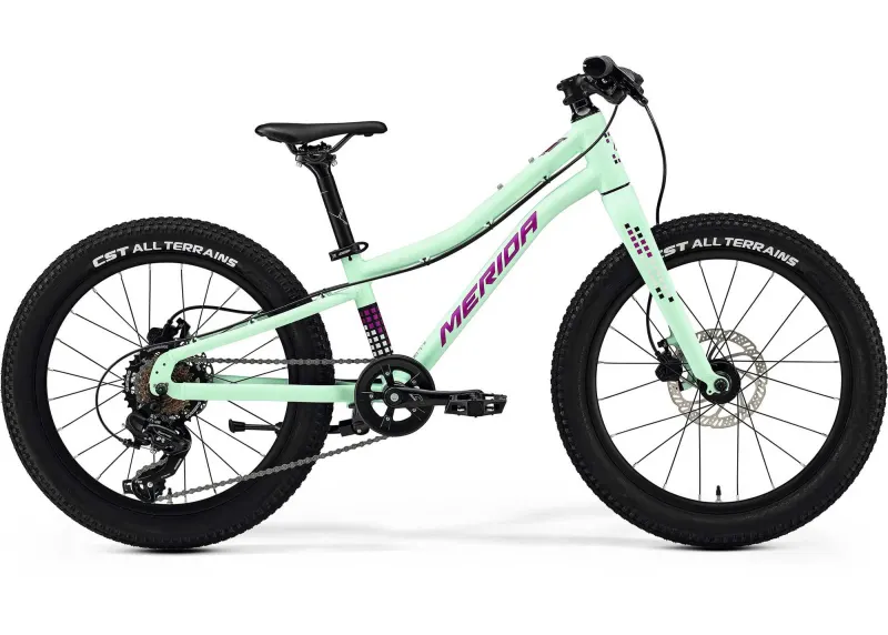 Велосипед 20" Merida MATTS J. 20+ (2025) рама - Matt Mint (Purple/Wht/Blk)