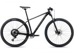 Велосипед 29 Orbea ONNA 10 (2025) black gloss-matt L
